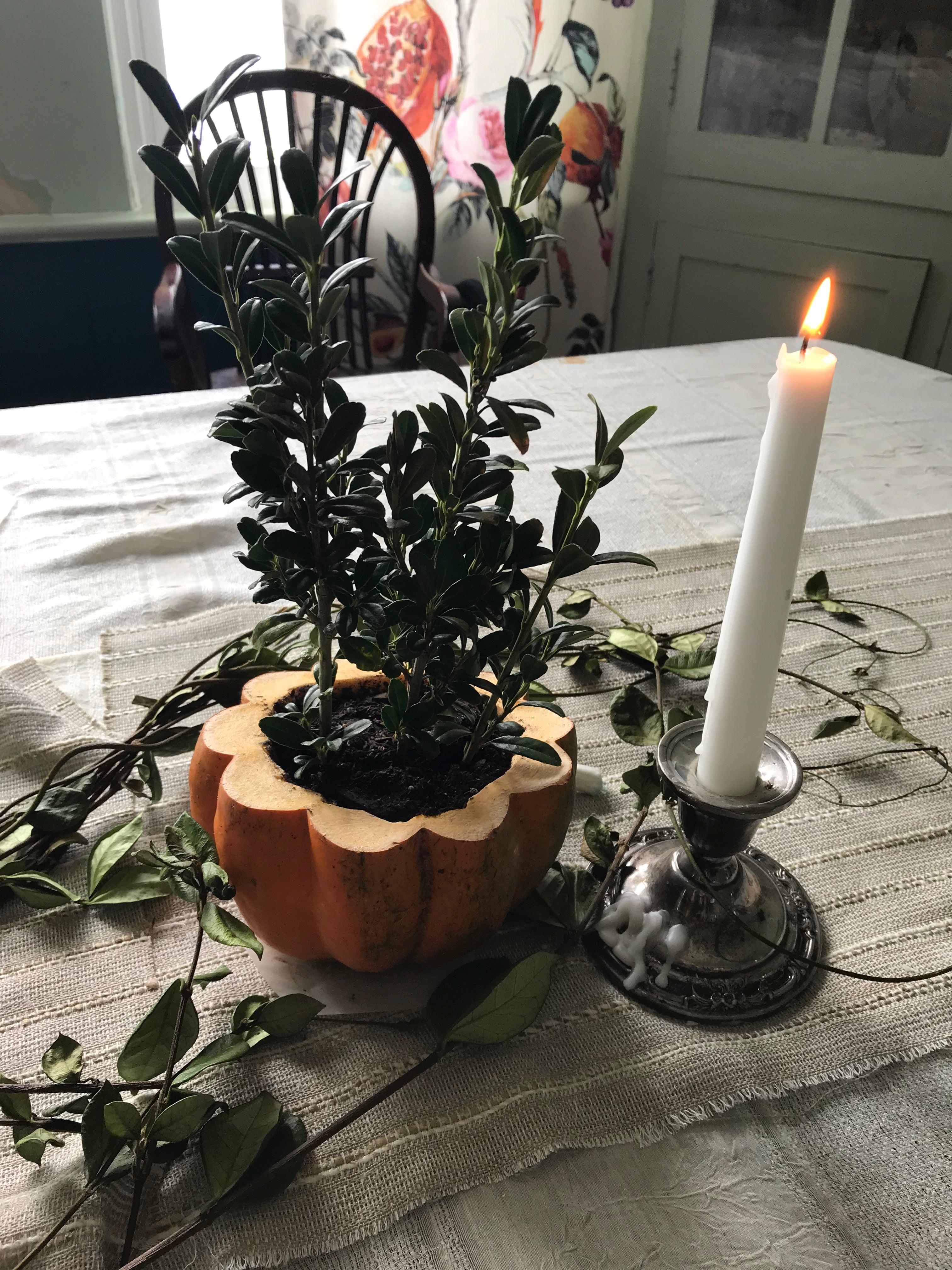 Learning To Honor The Sabbath